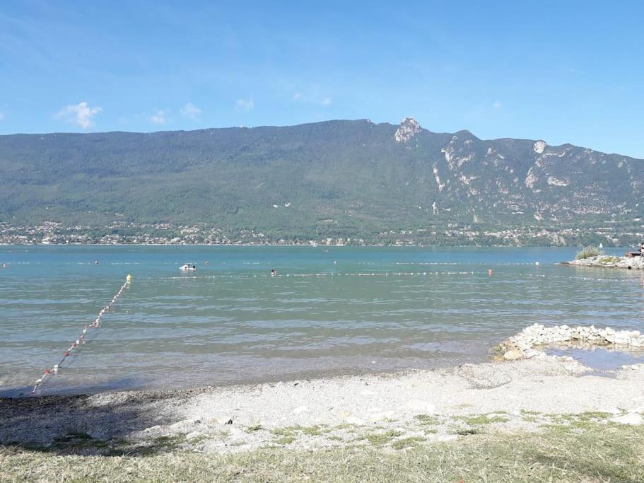 Apartment Le Jirani 90m2 Calme Jardin Prive Proche Le Phare